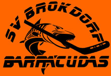 SV Brokdorf Barracudas